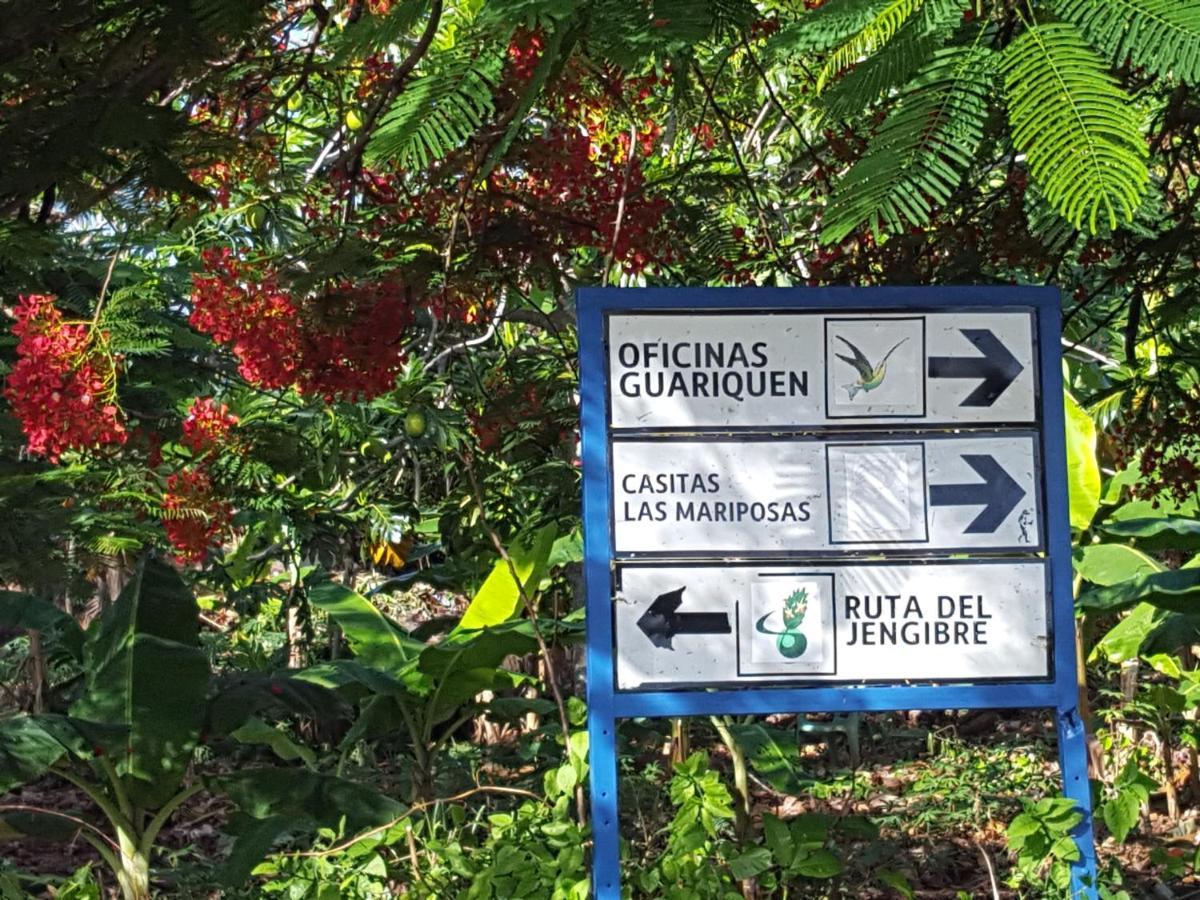 Las Mariposas 拉斯加勒拉斯 外观 照片
